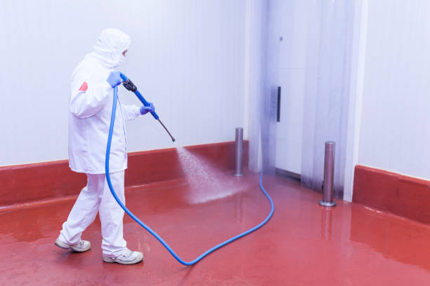 Best Playground Equipment Cleaning  in Garrison, TX
